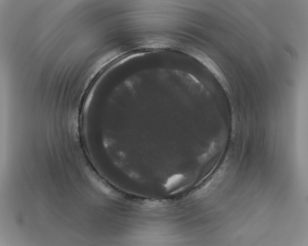 X0000113980850200910161621