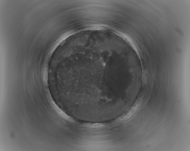 X0000113980851200910161621