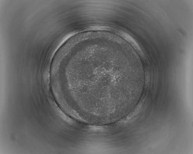 X0000113980852200910161621