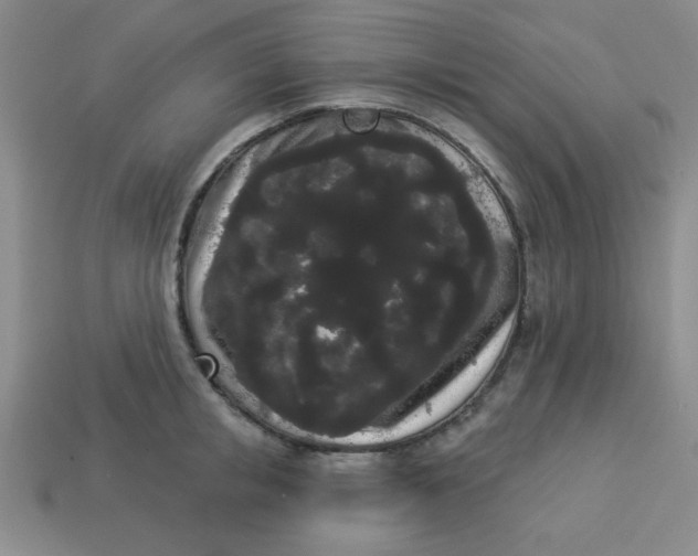 X0000113980853200910161621