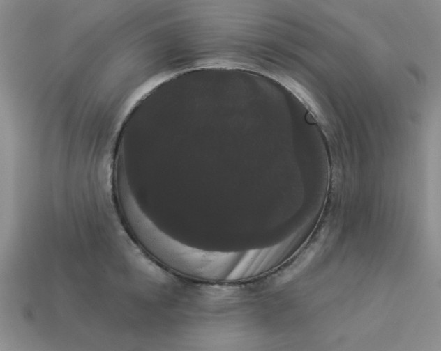 X0000113980854200910161621