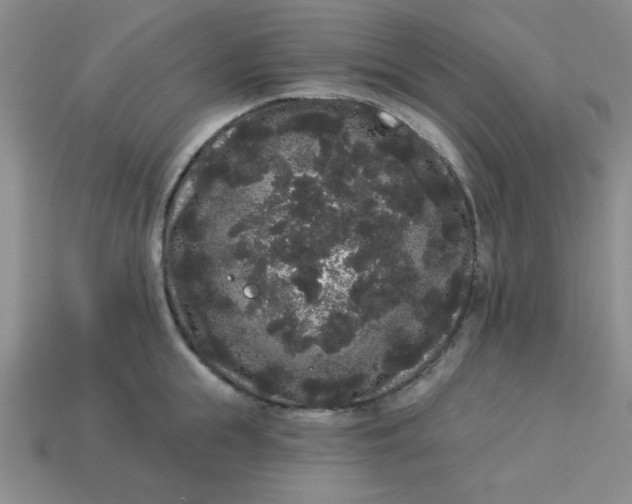 X0000113980855200910161621