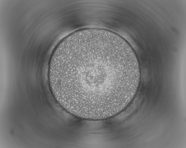 X0000113980856200910161621