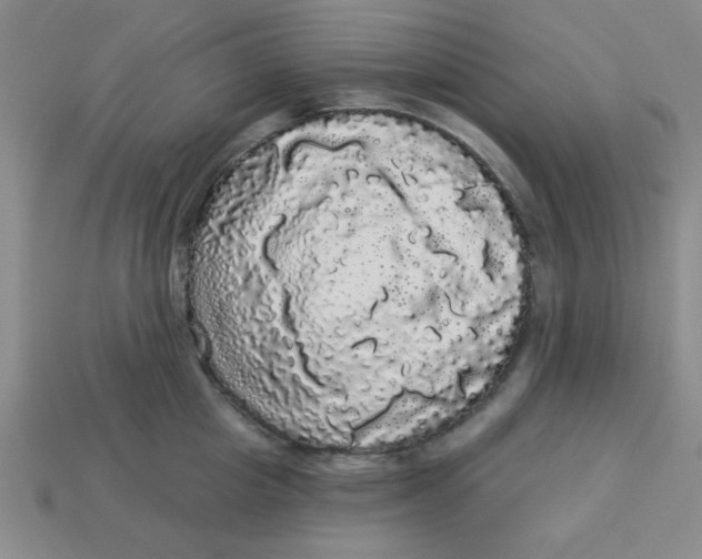 X0000113980857200910161621