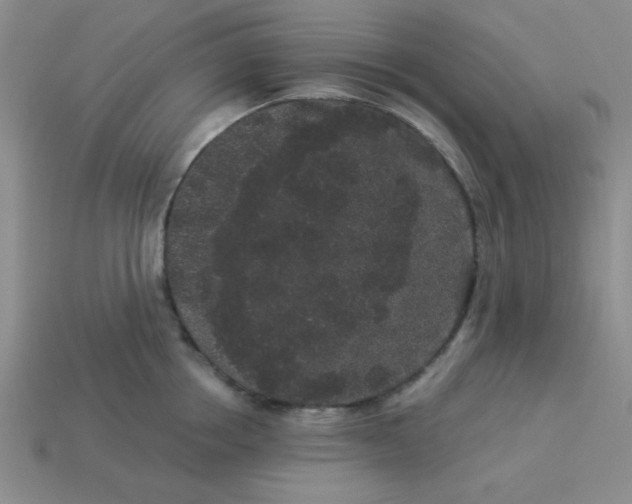 X0000113980858200910161621