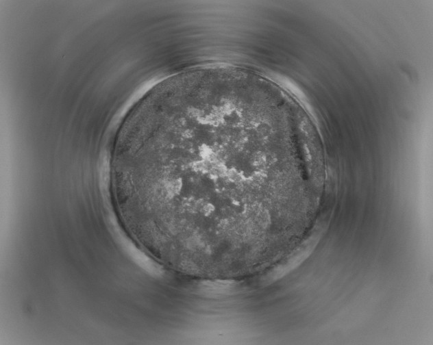 X0000113980859200910161621