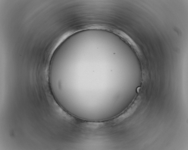 X0000113980860200910161621