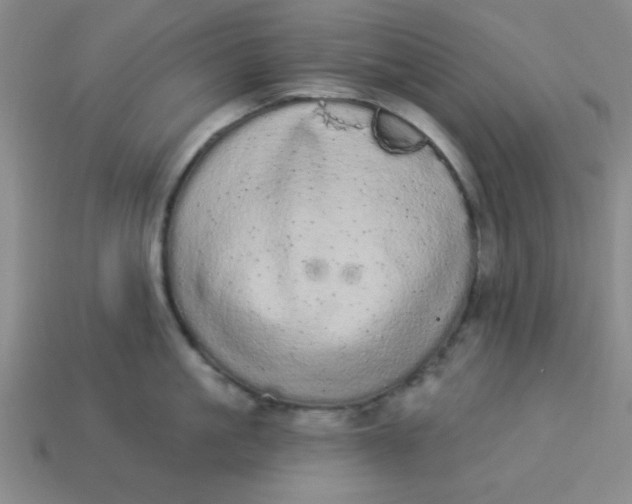 X0000113980861200910161621