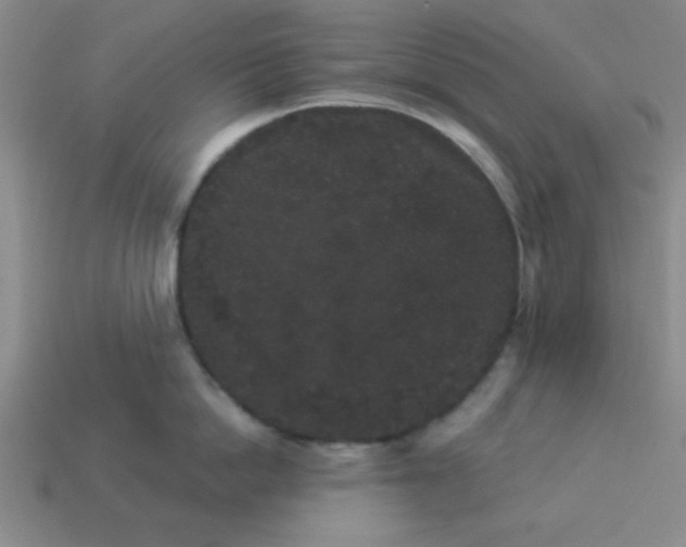 X0000113980862200910161621