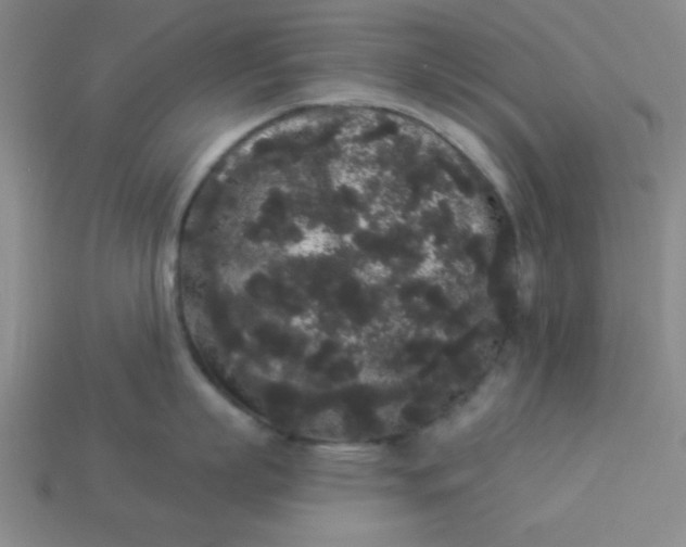 X0000113980863200910161621