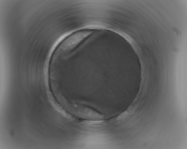 X0000113980864200910161621