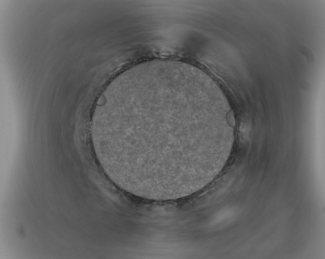 X0000113980865200910161620