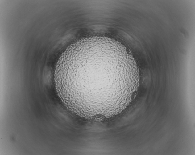 X0000113980866200910161620