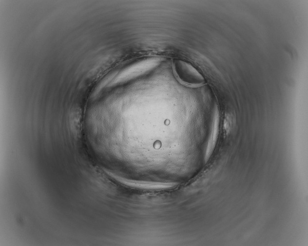 X0000113980867200910161620