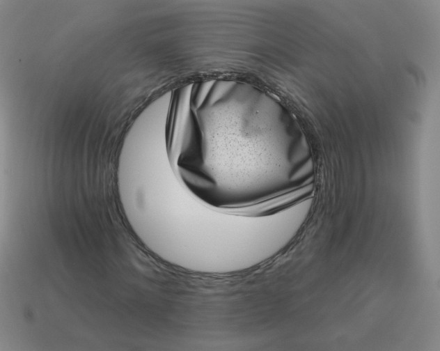 X0000113980868200910161620