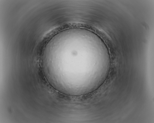 X0000113980870200910161620