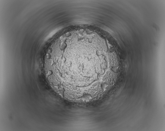 X0000113980871200910161620