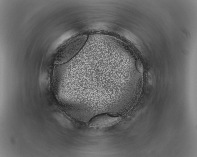 X0000113980872200910161620