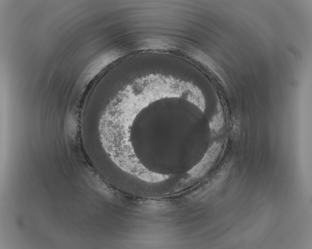 X0000113980874200910161620