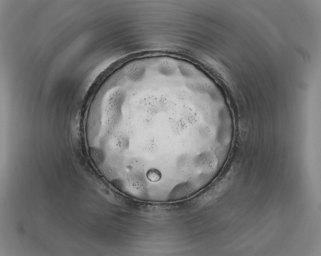 X0000113980875200910161620