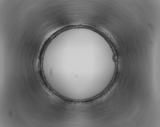 X0000113980876200910161620