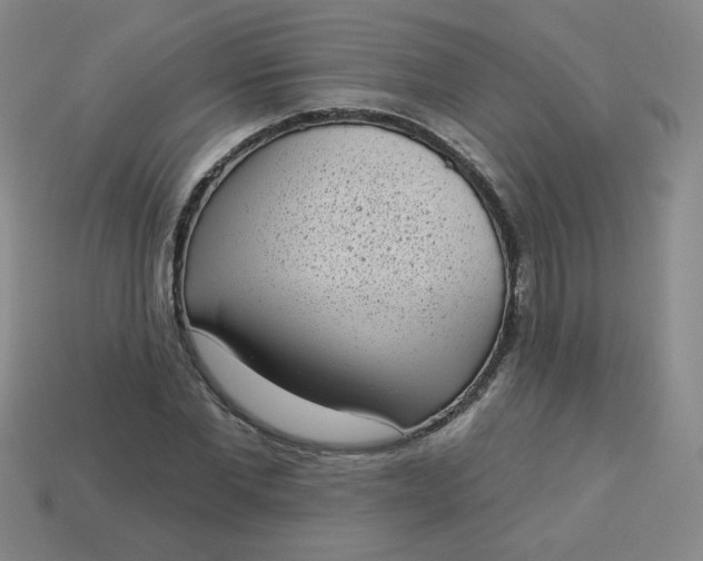 X0000113980877200910161620