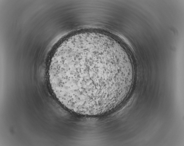 X0000113980878200910161620