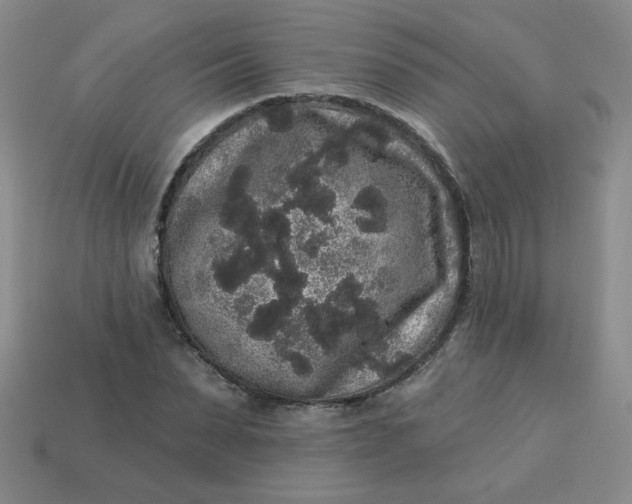 X0000113980879200910161620