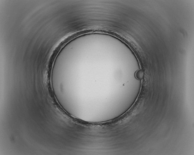 X0000113980880200910161620