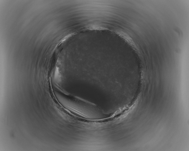 X0000113980881200910161620