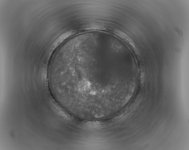 X0000113980882200910161620