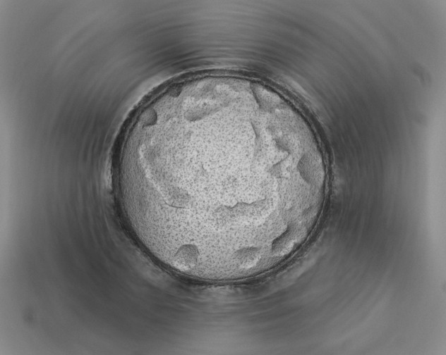 X0000113980883200910161620