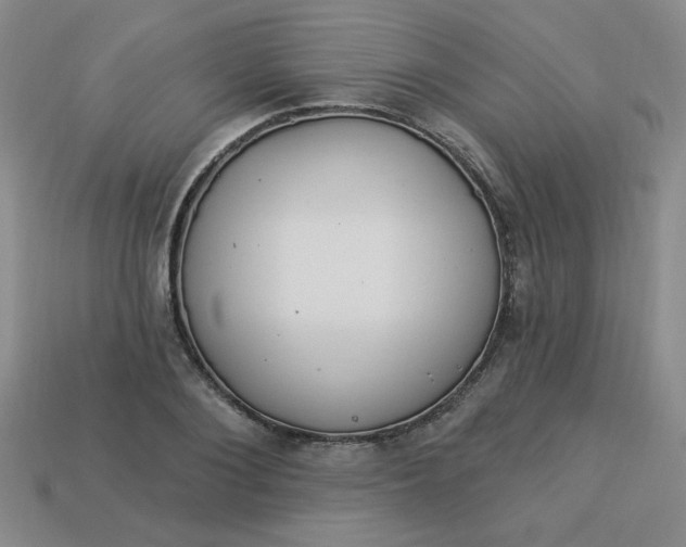 X0000113980884200910161620