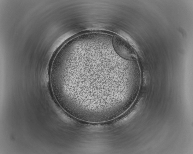 X0000113980885200910161620