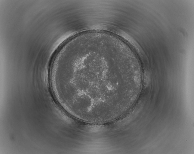 X0000113980886200910161620