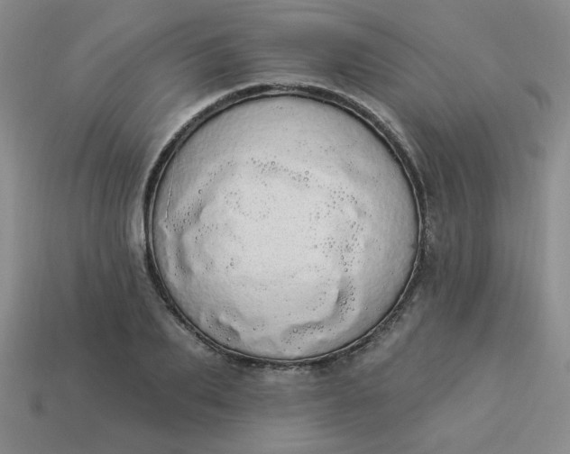 X0000113980887200910161620