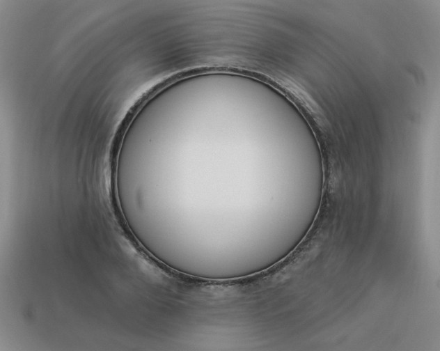 X0000113980888200910161620