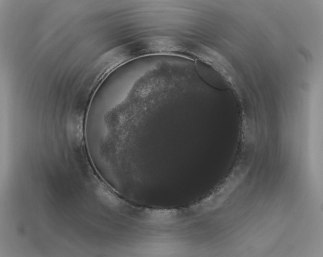 X0000113980889200910161620