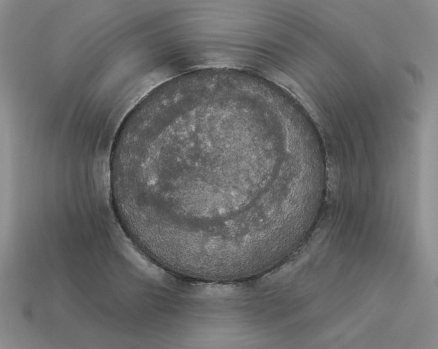 X0000113980890200910161620