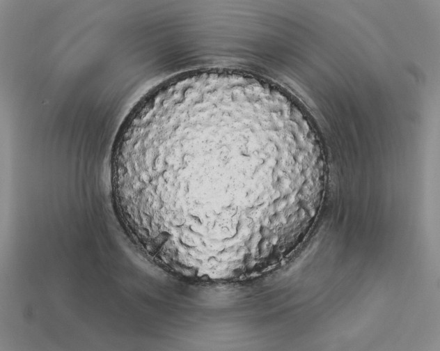 X0000113980891200910161620