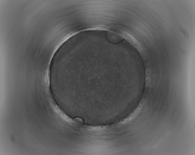 X0000113980892200910161620