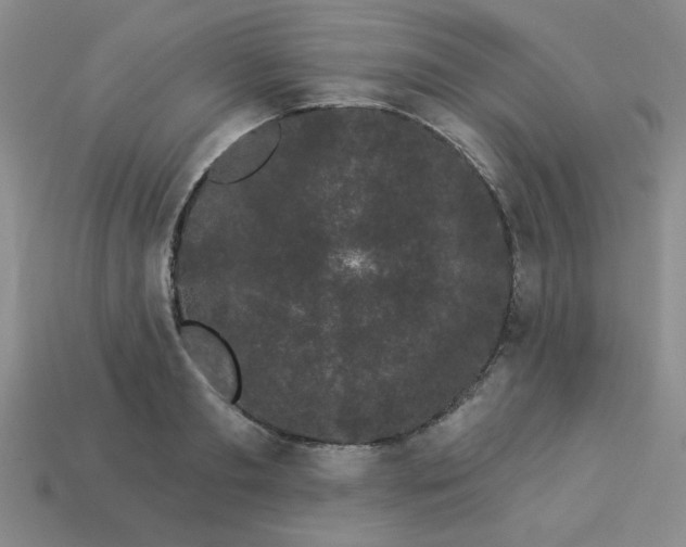 X0000113980893200910161620