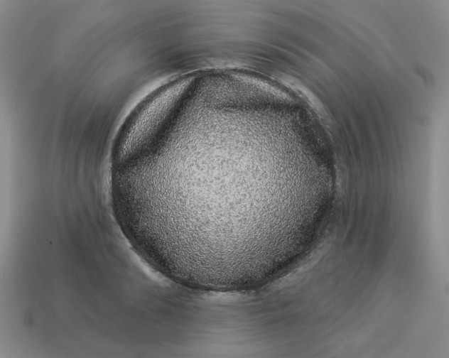 X0000113980894200910161620