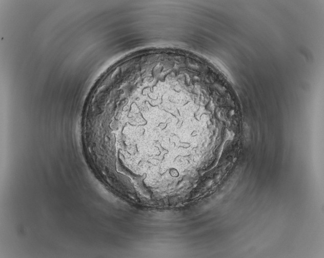 X0000113980895200910161620