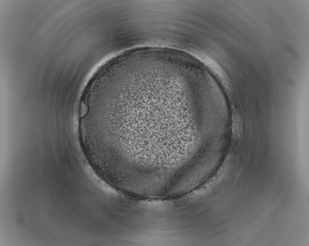 X0000113980896200910161620