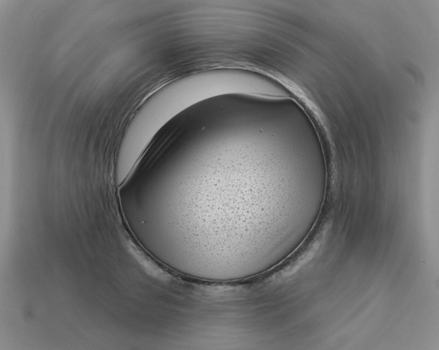 X0000113980897200910161620