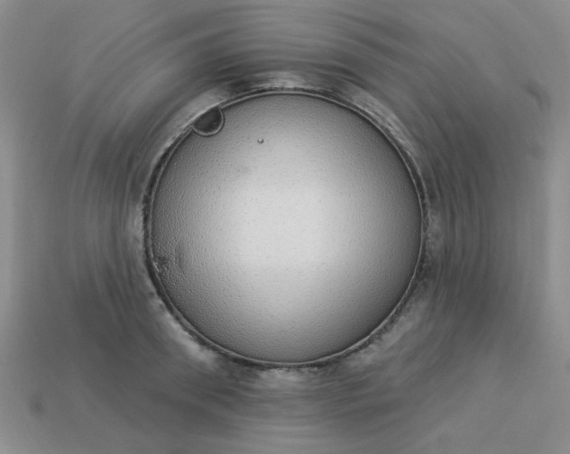 X0000113980898200910161620