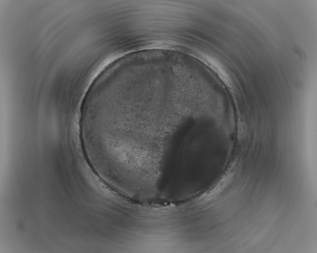 X0000113980899200910161620