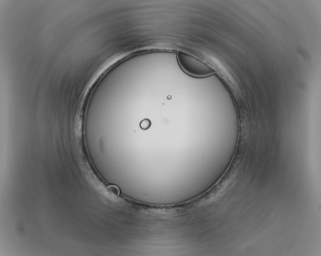 X0000113980900200910161620