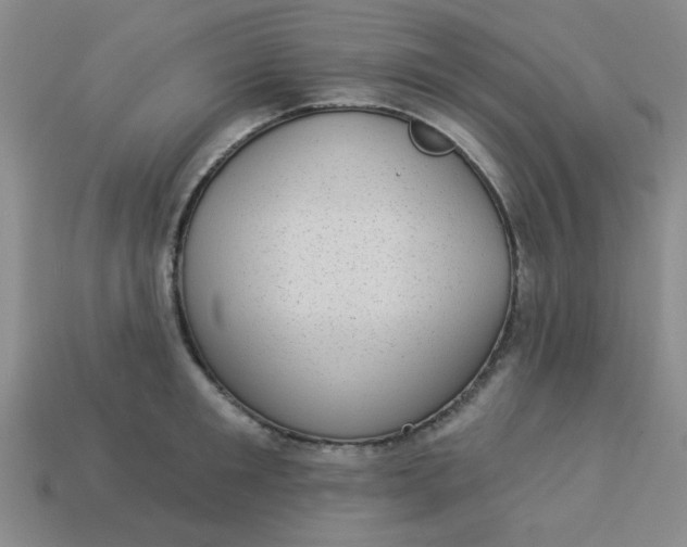 X0000113980901200910161620